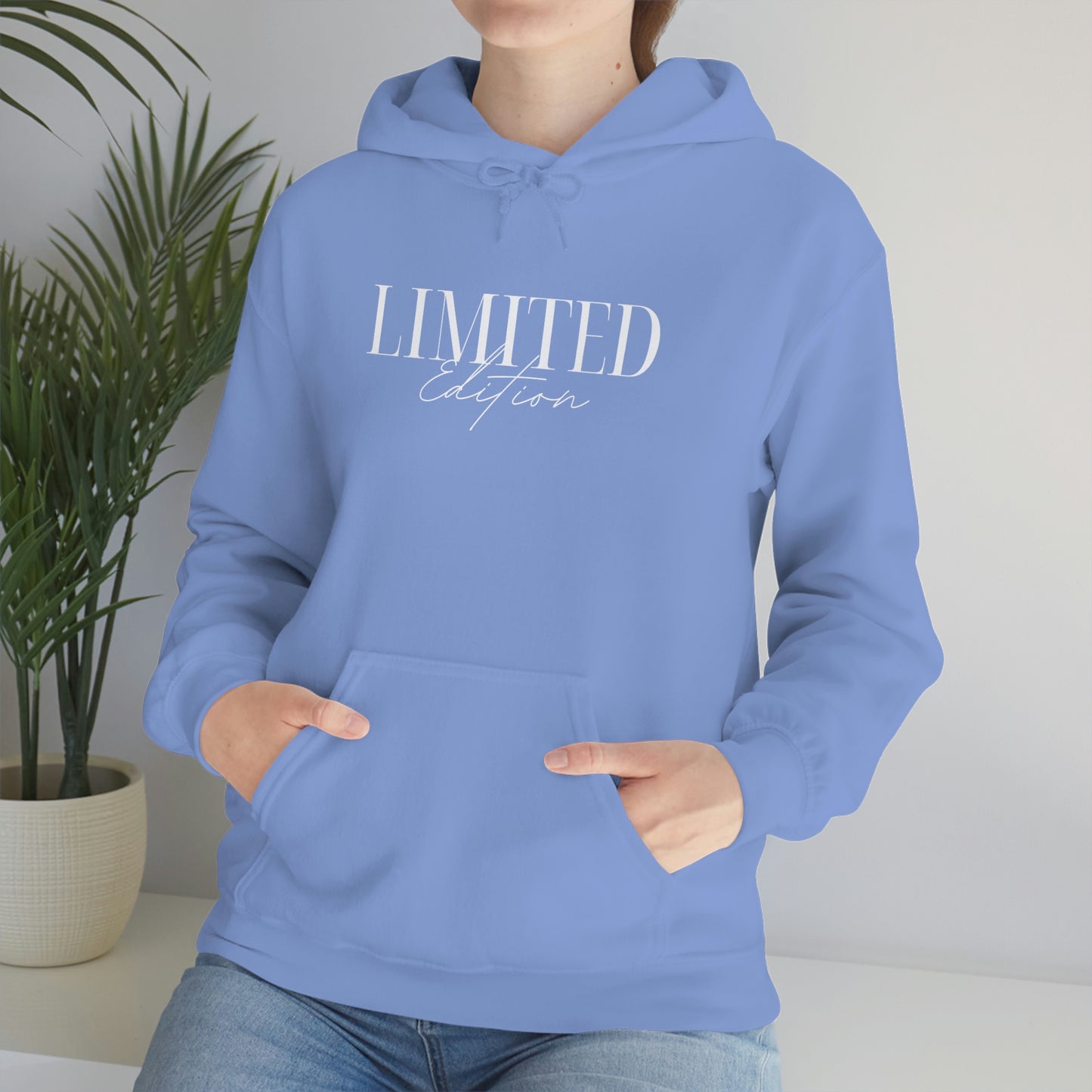"Limited Edition Hoodie" Copy of "Hardcore Homebody" Unisex Heavy Blend™ Hooded Sweatshirt